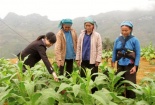 Chuyển giao công nghệ cho miền núi - Đi quá nửa chặng đường